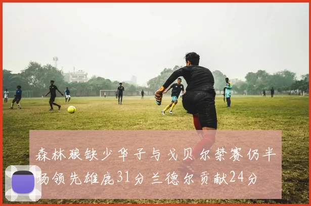 森林狼缺少华子与戈贝尔禁赛仍半场领先雄鹿31分兰德尔贡献24分